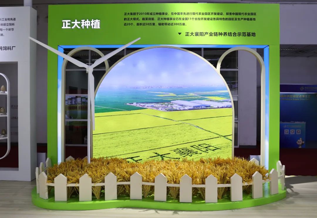 BET体育365投注官网