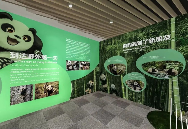 大熊猫2.jpg 大熊猫2.jpg