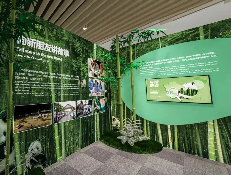 大熊猫4.jpg 大熊猫4.jpg