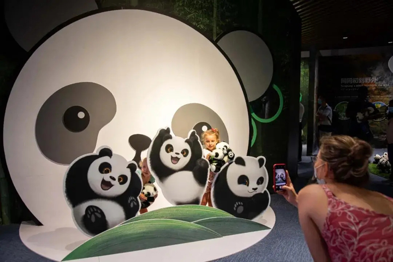 大熊猫10.jpg 大熊猫10.jpg