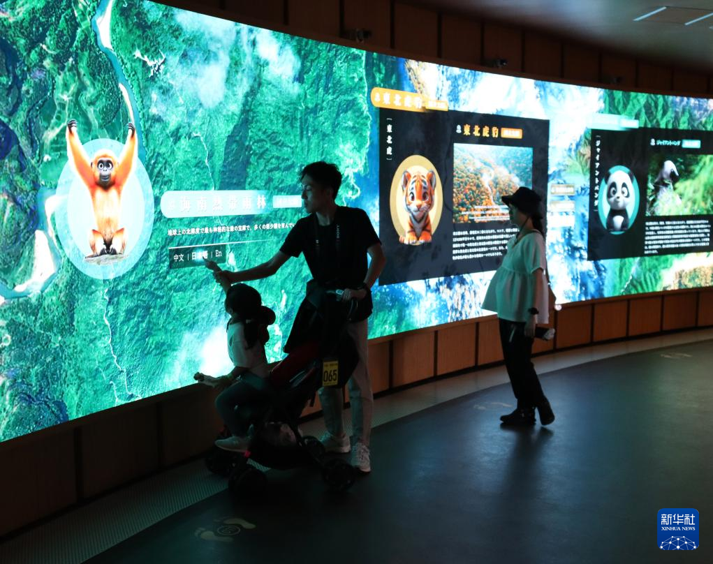 BET体育365投注官网